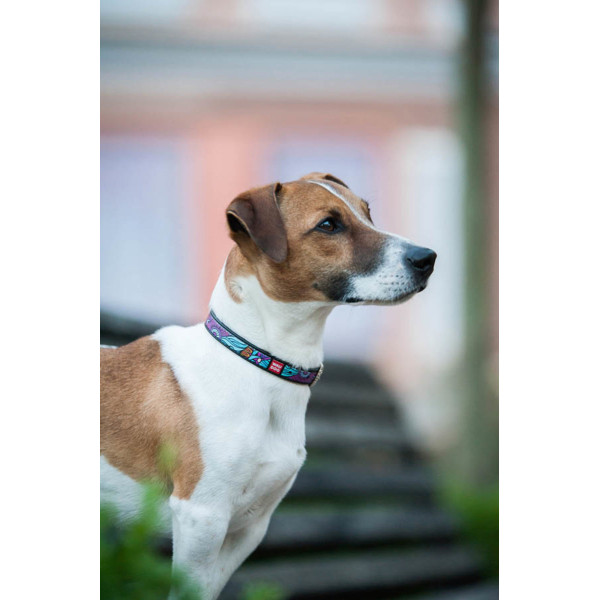 WauDog (ВауДог) Design рисунок "Лето" - Ошейник для собак кожаный черный (Ш 12 мм, Длин 20-28 см) XS