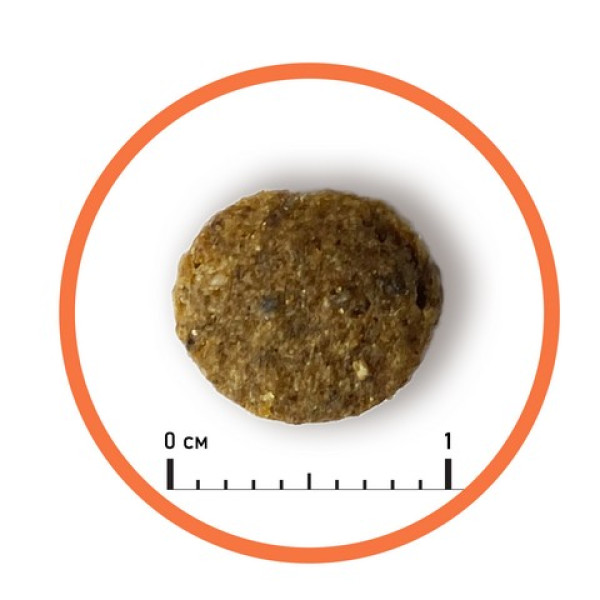 Almo Nature (Алмо Натюр) Holistic Fresh Meat Cat Digestive Help With Lamb - Сухой корм для кошек с чувствительным пищеварением со свежим ягненком 400 г