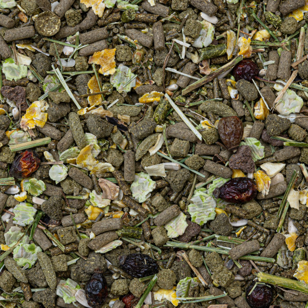 Deli Nature (Дели Натур) Rodelicious Guinea Pigs - Полнорационный суперпремиум корм для морских свинок 2.5 кг