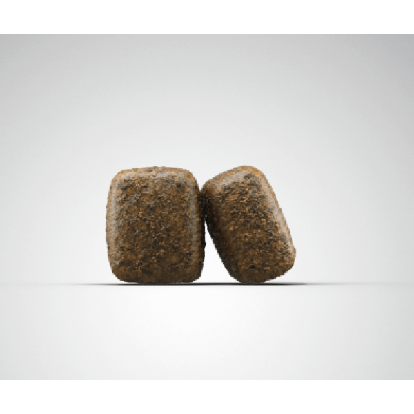 Josera (Йозера) Sensi Adult - Сухой корм для собак всех пород с чувствительным пищеварением с птицей и лососем 0.9 кг