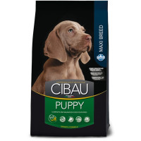 Farmina (Фарміна) Cibau Dog Chicken Puppy Maxi - Сухий корм для цуценят великих порід з м’ясом курки 2.5 кг