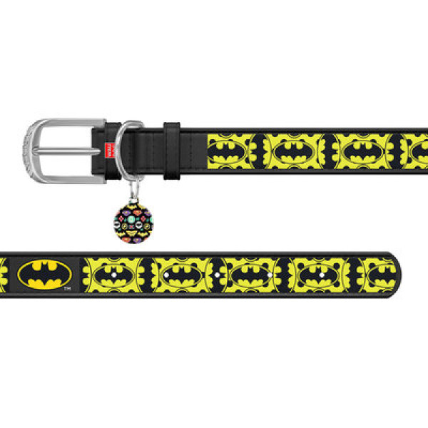 Ошейник, "Бэтмен4", Ш 12 мм, Дл 18-24 см, черный, XS1, WAUDOG Design с QR