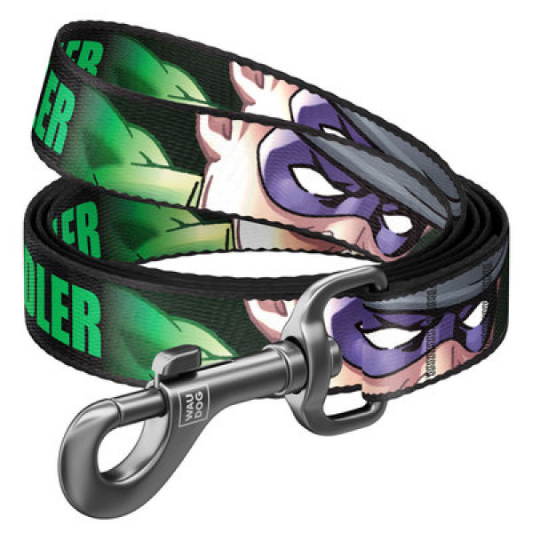 Повідець, "Загадочник", Ш 15 мм, Дл 122 см, S. WAUDOG Nylon