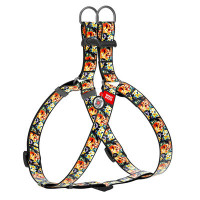 Шлея анатомічна, "Гламурні черепа", пласт. фастекс, Ш 25 мм, ОГ 60-90 см, ОШ 60-90 см, L, WAUDOG Nylon c QR