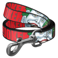 Повідець, "Джокер", Ш 10 мм, Дл 122 см, XS. WAUDOG Nylon