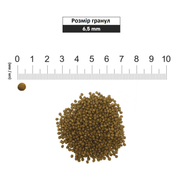 1st Choice (Фест Чойс) Kitten Optimal Growth - Сухий корм для кошенят всіх порід з рибою 4.54 кг