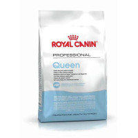 Royal Canin (Роял Канин) Cat Adult Queen Poultry - Сухой корм для взрослых котов в период беременности и лактации с мясом птицы 4 кг