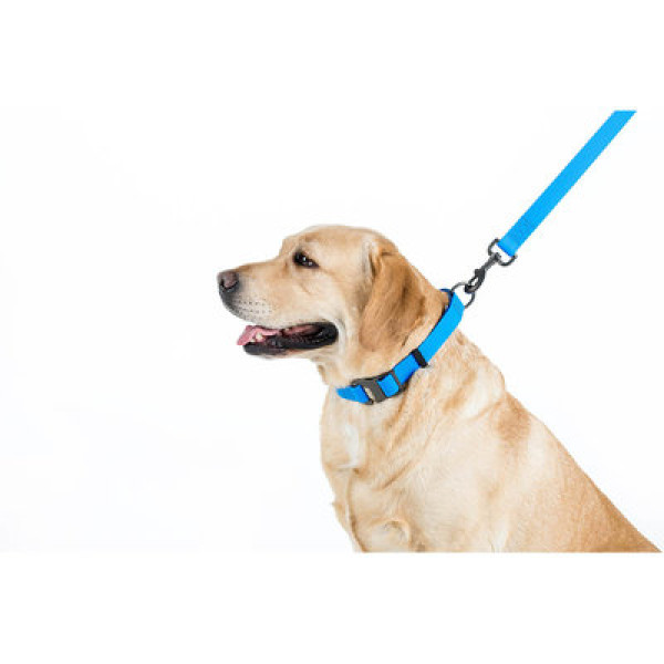 Повідець, Ш 15 мм, Дл 122 см, Блакитний, S, WAUDOG Waterproof