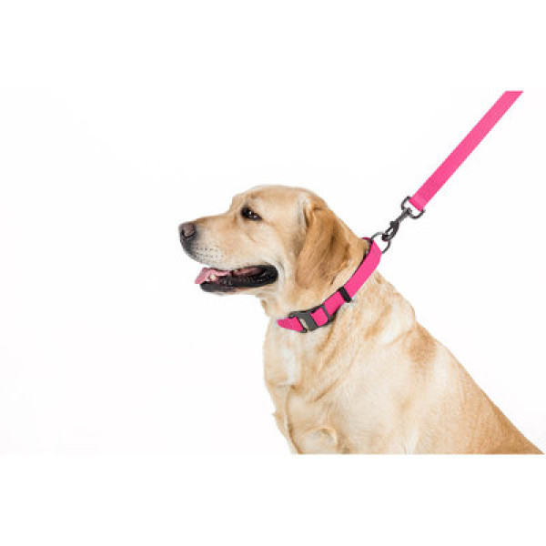 Повідець, Ш 15 мм, Дл 122 см, Рожевий, S, WAUDOG Waterproof