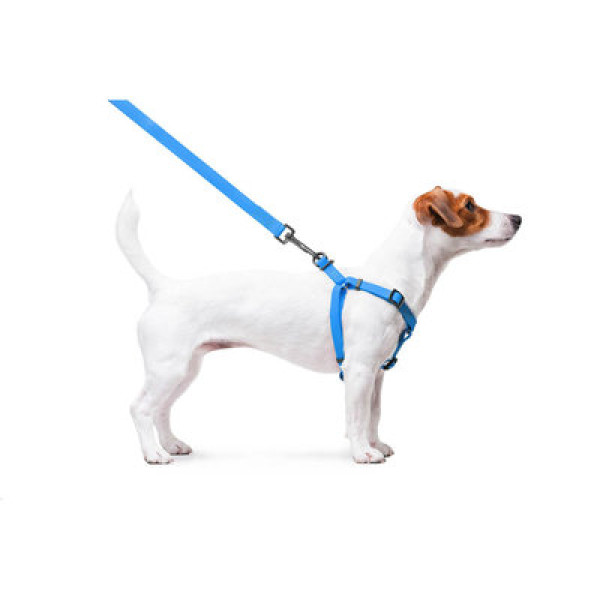 Шлея, метал. пряжка-фастекс, Ш 15 мм, ОГ 40-55 см, ОШ 40-55 см, голубой, S, WAUDOG Waterproof c QR