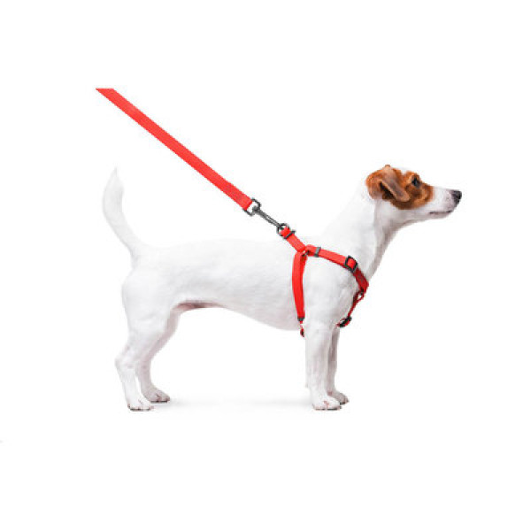 Шлея, метал. пряжка-фастекс, Ш 15 мм, ОГ 40-55 см, ОШ 40-55 см, красный, S, WAUDOG Waterproof c QR