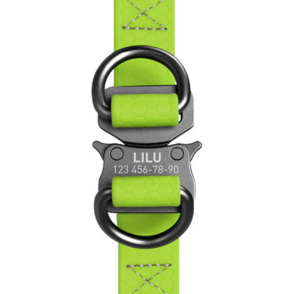 Шлея, метал. пряжка-фастекс, Ш 20 мм, ОГ 50-80 см, ОШ 50-80 см, Салатовий, M, WAUDOG Waterproof c QR