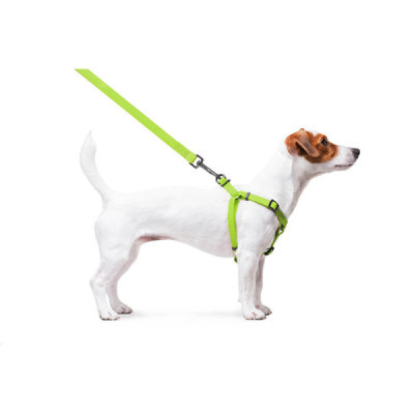 Шлея, метал. пряжка-фастекс, Ш 20 мм, ОГ 50-80 см, ОШ 50-80 см, Салатовий, M, WAUDOG Waterproof c QR