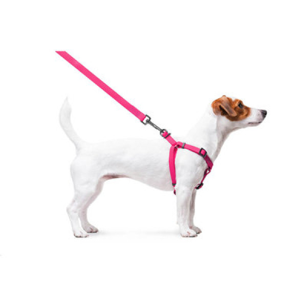 Шлея, метал. пряжка-фастекс, Ш 20 мм, ОГ 50-80 см, ОШ 50-80 см, Рожевий, M, WAUDOG Waterproof c QR