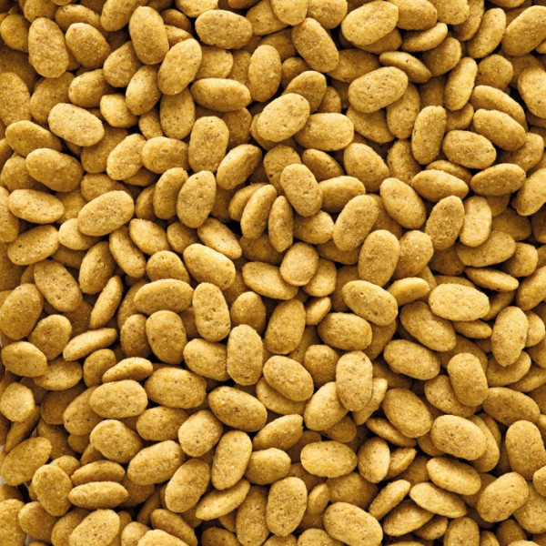 Versele-Laga (Версель Лага) NutriBird P15 Original - Корм для крупных попугаев 1 кг