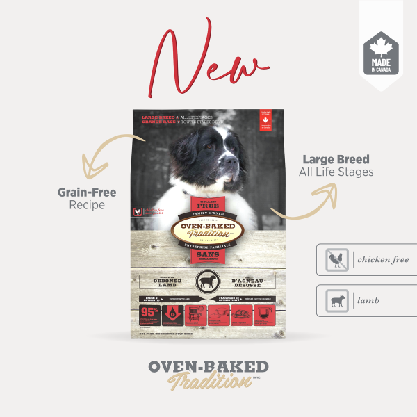 Oven-Baked (Овен-Бэйкд) Tradition Dog Grain Free Lamb All Life Stages Maxi & Giant - Сухой беззерновой корм для собак всех возрастов больших и гигантских пород с мясом ягнёнка 2.27 кг Oven-Baked (Овен-Бэйкд) Tradition Dog Grain Free Lamb All Life Stages Maxi & Giant - Сухой беззерновой корм для собак всех возрастов больших и гигантских пород с мясом ягнёнка 2.27 кг