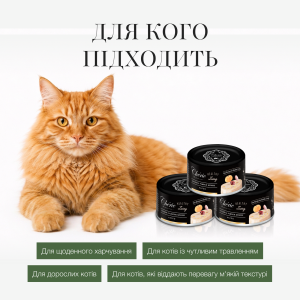Cherie (Чери) Cat Grain Free Chicken & Pumpkin Healthy Living Mousse Adult - Влажный беззерновой корм для взрослых котов мусс с мясом курицы и тыквой 80 г