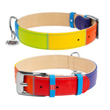 WauDog (ВауДог) Glamour "Веселка" - Нашийник для собак шкіряний (Ш 20 мм, Дов 30-39 см) М