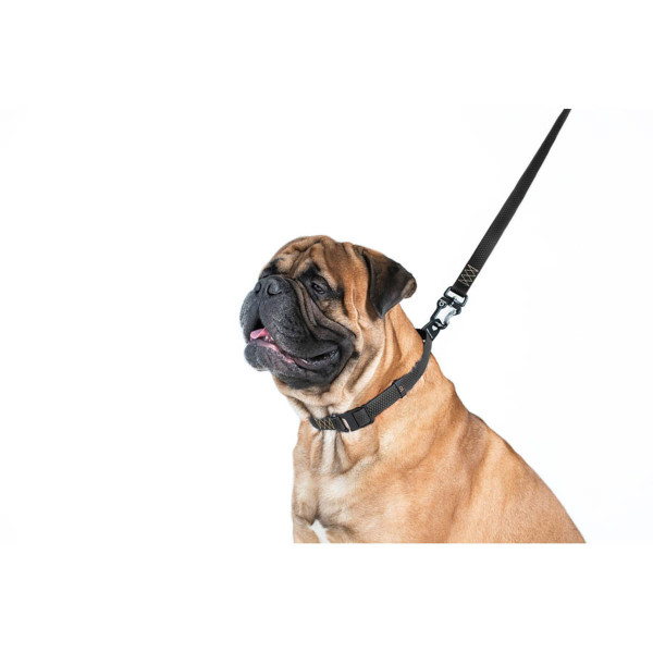 Collar (Колар) Evolutor - Поводок для собак водоотталкивающий черный 210 см