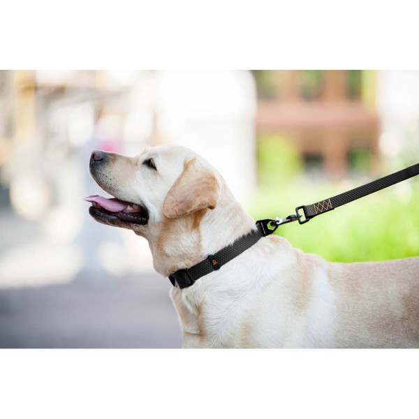 Collar (Колар) Evolutor - Поводок для собак водоотталкивающий черный 210 см