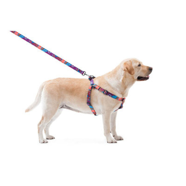 Шлея анатомическая, "Лето", пласт. фастекс, Ш 25 мм, ОГ 60-90 см, ОШ 60-90 см, L, WAUDOG Nylon c QR