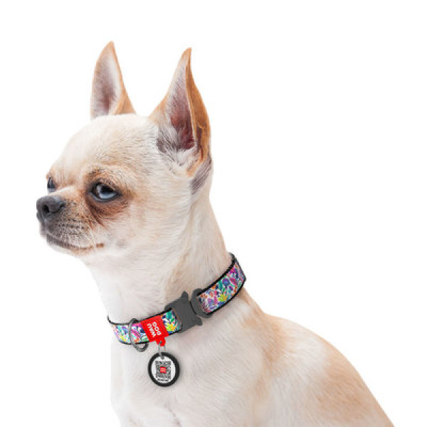 Ошейник, "Волшебные цветы", метал. пряжка-фастекс, Ш 15 мм, Дл 23-35 см, S, WAUDOG Nylon c QR