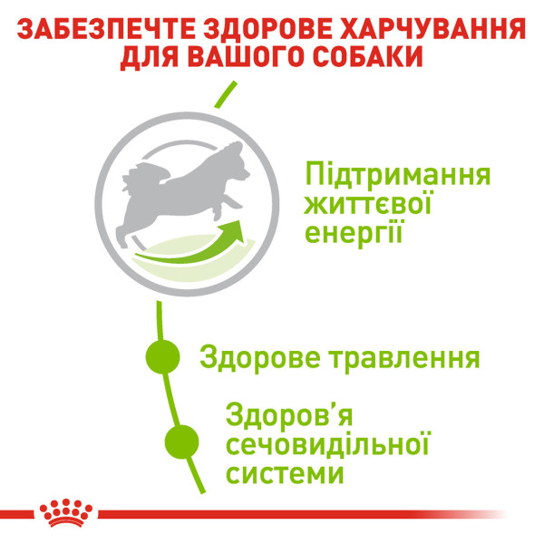 Royal Canin (Роял Канін) X-Small Adult 8+ - Сухий корм для собак мініатюрних порід старше 8 років 0.5 кг