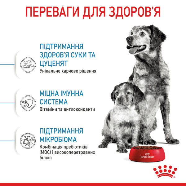 Royal Canin (Роял Канін) Medium Starter - Перший твердий корм для цуценят середніх порід 12 кг
