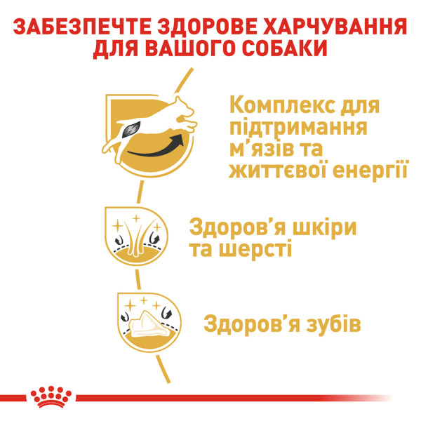 Royal Canin (Роял Канин) Jack Russell Terrier Adult Poultry - Сухой корм для взрослых собак породы джек рассел терьер с мясом птицы 7.5 кг