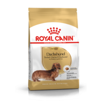 Royal Canin (Роял Канін) Dachshund Adult Poultry - Сухий корм для дорослих собак породи такса з м’ясом птиці 1.5 кг