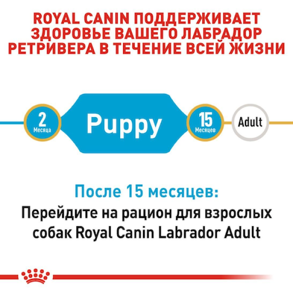Royal Canin (Роял Канин) Labrador Retriever Puppy Poultry - Сухой корм для щенков породы лабрадор ретривер с мясом птицы 3 кг Royal Canin (Роял Канин) Labrador Retriever Puppy Poultry - Сухой корм для щенков породы лабрадор ретривер с мясом птицы 3 кг