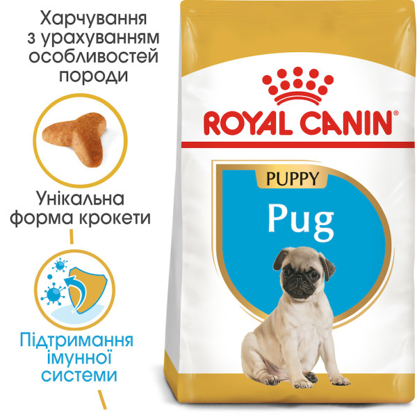 Royal Canin (Роял Канін) Pug Puppy - Сухий корм для цуценят мопса від 2 до 10 місяців 0.5 кг