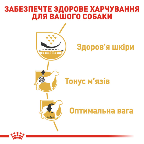 Royal Canin (Роял Канін) Pug Adult - Сухий корм для мопсів від 10 міс. 0.5 кг