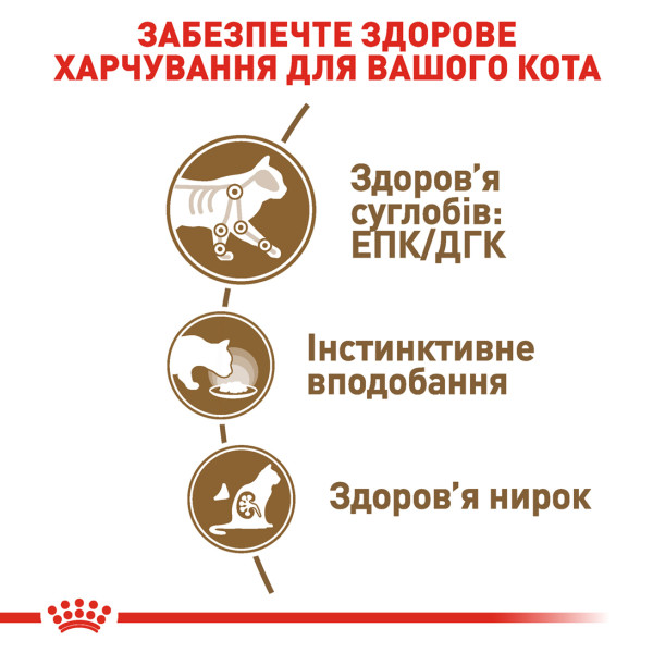 Royal Canin (Роял Канин) Ageing 12+ - Влажный корм для кошек старше 12 лет (кусочки в соусе) 0.085 кг