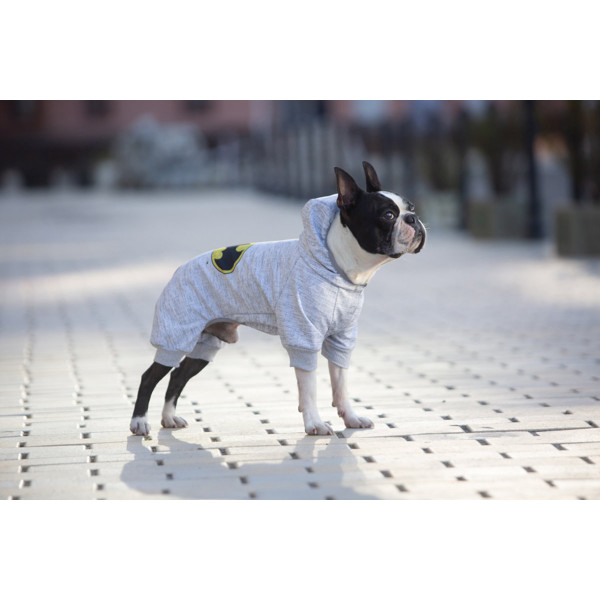 WauDog (ВауДог) Clothes "Бэтмен лого" - Комбинезон для собак (B 53-59 см, С 38-42 см) M45