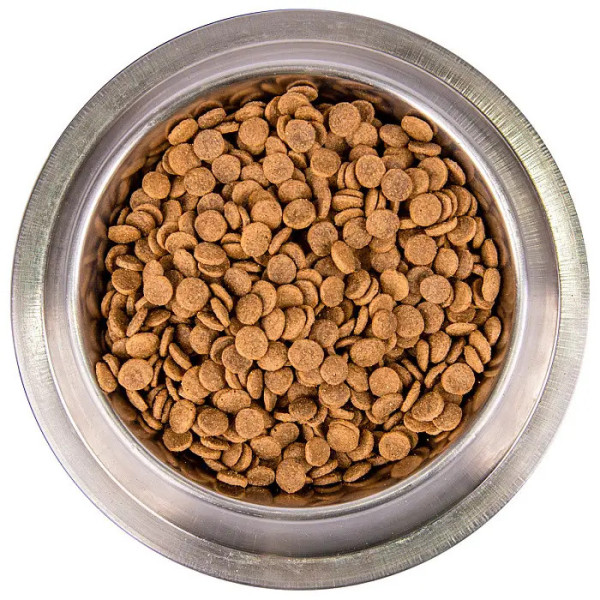 Monge (Монж) Bwild Cat Grain Free Salmon Adult - Сухий беззерновий корм для дорослих котів з м’ясом лосося 1.5 кг Monge (Монж) Bwild Cat Grain Free Salmon Adult - Сухий беззерновий корм для дорослих котів з м’ясом лосося 1.5 кг