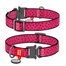 Нашийник, "Кавун", метал. пряжка-фастекс, Ш 15 мм, Дл 23-35 см, S, WAUDOG Nylon c QR