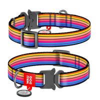 Нашийник, "Лінії 1", метал. пряжка-фастекс, Ш 15 мм, Дл 23-35 см, S, WAUDOG Nylon c QR