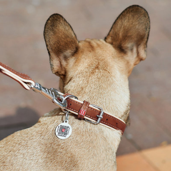 WauDog (ВауДог) Soft - Ошейник для собак кожаный коричневый (Ш 15 мм, Длин 27-36 см) S