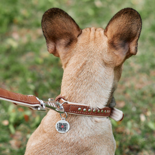 WauDog (ВауДог) Soft - Ошейник для собак кожаный с металлическими украшениями коричневый (Ш 20 мм, Длин 30-39 см) M