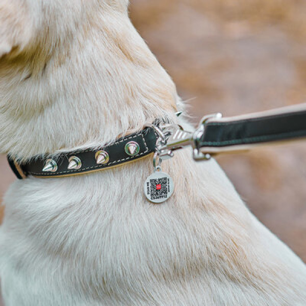 WauDog (ВауДог) Soft - Ошейник для собак кожаный с шипами черный (Ш 35 мм, Длин 46-60 см) XL