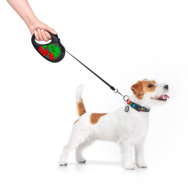 WauDog (ВауДог) Re-Leash "Калина" - Повідець-рулетка для собак чорна зі світловідбивною стрічкою (В 25 кг, Дов 5 м) розмір M
