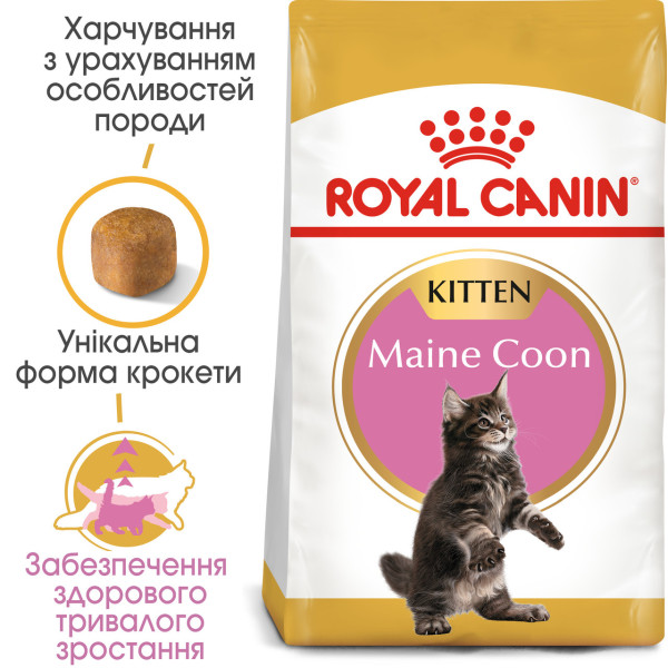 Royal Canin (Роял Канин) Maine Coon Kitten - Сухой корм для котят породы породы Мэйн Кун до 15 месяцев 4 кг