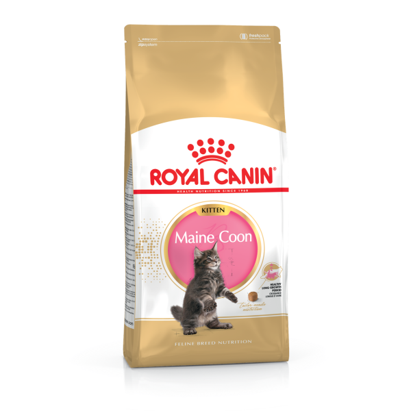 Royal Canin (Роял Канин) Maine Coon Kitten - Сухой корм для котят породы породы Мэйн Кун до 15 месяцев 4 кг