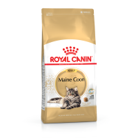 Royal Canin (Роял Канин) Maine Coon Adult Poultry - Сухой корм для взрослых котов породы мэйн-кун с мясом птицы 10 кг