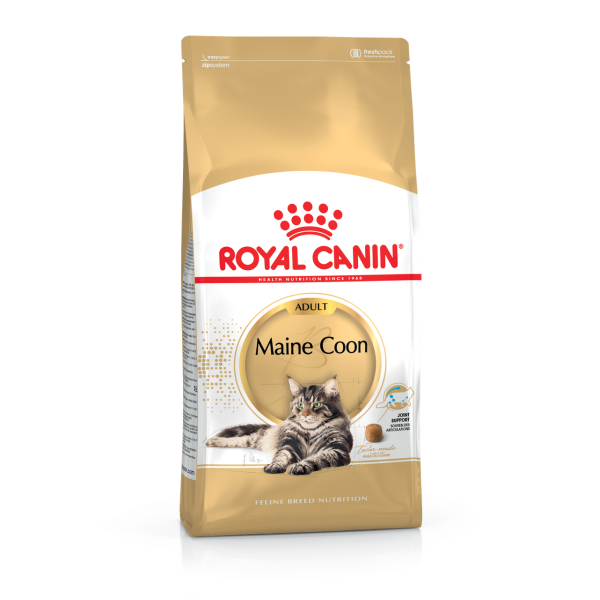 Royal Canin (Роял Канiн) Maine Coon Adult Poultry - Сухий корм для дорослих котів породи мейн-кун з м’ясом птиці 10 кг