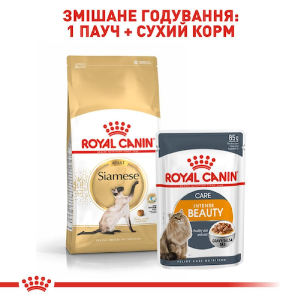 Royal Canin (Роял Канін) Siamese Adult - Сухий корм для дорослих котів породи Сіамська 10 кг