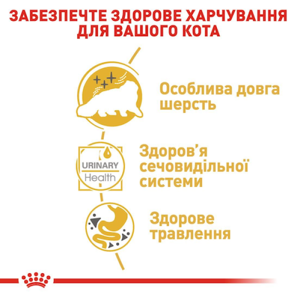 Royal Canin (Роял Канін) Persian Adult - Сухий корм для дорослих котів породи Перська 0.4 кг