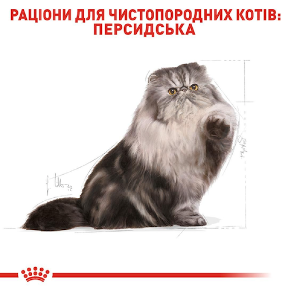 Royal Canin (Роял Канін) Persian Adult - Сухий корм для дорослих котів породи Перська 10 кг