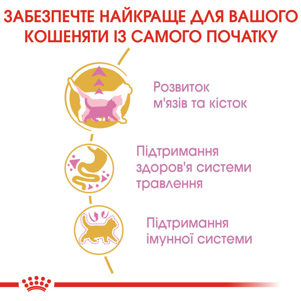 Royal Canin (Роял Канін) British Shorthair Kitten - Сухий корм для кошенят породи Британська короткошерста 10 кг